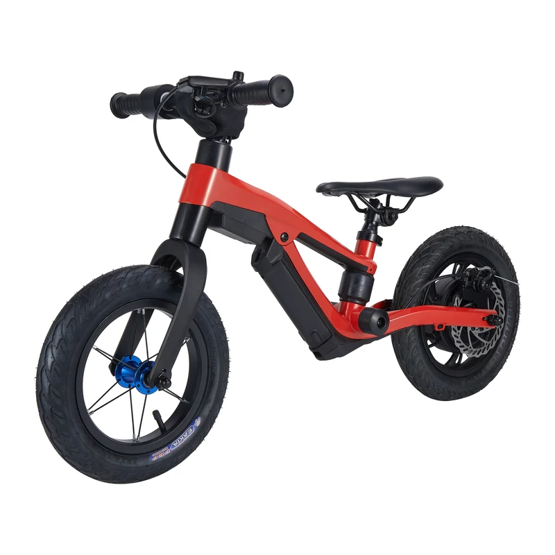 E-RS1 — product view